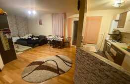 Apartament 2 camere, 50 mp, mobilat utilat, zona Florilor