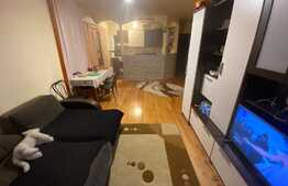 Apartament 2 camere, 50 mp, mobilat utilat, zona Florilor