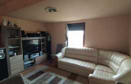 Teren extravilan 3450 mp in Dambul Rotund, cu casa intabulata de 60mp