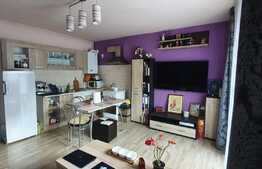 Apartament 2 camere, zona Vivo 