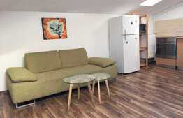 Apartament la mansarda, 48 mp, 2 camere!