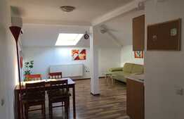 Apartament la mansarda, 48 mp, 2 camere!