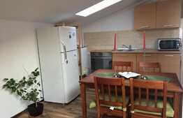 Apartament la mansarda, 48 mp, 2 camere!