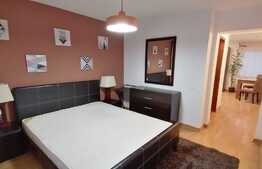 Parter de casa cu 2 camere, 90 mp, terasa si gradina de 80 mp, nou, zona strazii Eliade