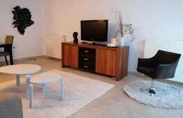 Parter de casa cu 2 camere, 90 mp, terasa si gradina de 80 mp, nou, zona strazii Eliade