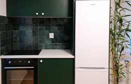 Parter de casa cu 2 camere, 90 mp, terasa si gradina de 80 mp, nou, zona strazii Eliade