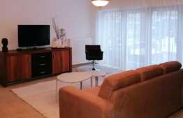 Parter de casa cu 2 camere, 90 mp, terasa si gradina de 80 mp, nou, zona strazii Eliade