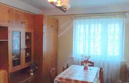 Casa cuplata de vanzare, 60 mp, 365 mp teren, Dambul Rotund