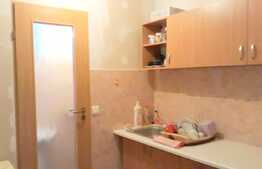 Casa cuplata de vanzare, 60 mp, 365 mp teren, Dambul Rotund