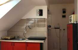 Apartament cu o camera, 38 mp, decomandat, zona strazii D. Murgu