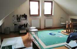 Apartamentul tau in vila, cu panorama!