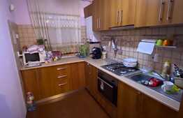 Apartament 2 camere, 52 mp, mobilat utilat, zona Florilor