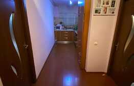Apartament 2 camere, 52 mp, mobilat utilat, zona Florilor