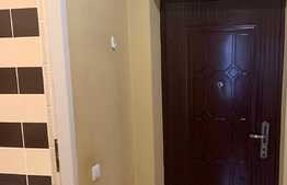 Apartament cu 1 camera, decomandat, 42 mp, zona strazii Dambovitei