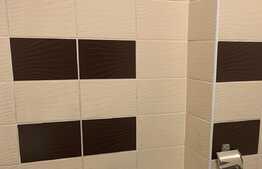 Apartament cu 1 camera, decomandat, 42 mp, zona strazii Dambovitei