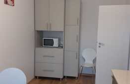 Apartament cu 1 camera, 40 mp, mobilat modern, zona strazii Fabricii