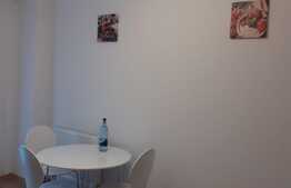 Apartament cu 1 camera, 40 mp, mobilat modern, zona strazii Fabricii