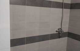 Apartament cu 1 camera, 40 mp, mobilat modern, zona strazii Fabricii