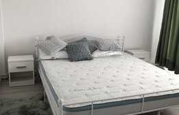 Apartament cu 2 camere, 45 mp, totul nou, zona Iulius Mall