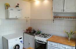 Apartament cu 2 camere, 45 mp, zona strazii Aleea Herculane