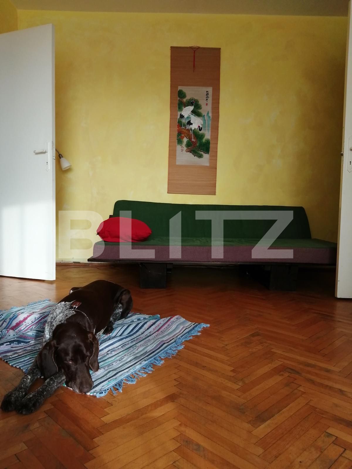 Apartament de închiriat 2 camere Gheorgheni - 49271AI | BLITZ Cluj-Napoca | Poza2