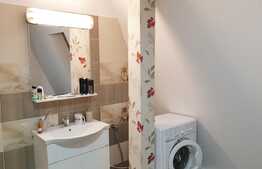 Penthouse, 122mp, zona Muzeul Apei!