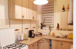 Penthouse, 122mp, zona Muzeul Apei!