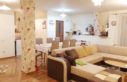 Penthouse, 122mp, zona Muzeul Apei!