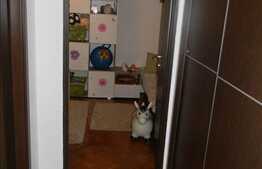 Un apartament ingrijit si modern in Gheorgheni pe Brancusi!