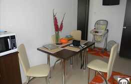 Un apartament ingrijit si modern in Gheorgheni pe Brancusi!