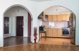 Apartament 2 camere, 55mp, zona strazii Stejarului!