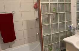 Apartament 3 camere, zona Terra!