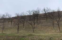 Casa cuplata de vanzare, semifinisata, 3 niveluri , 400 mp teren in sat Tauti