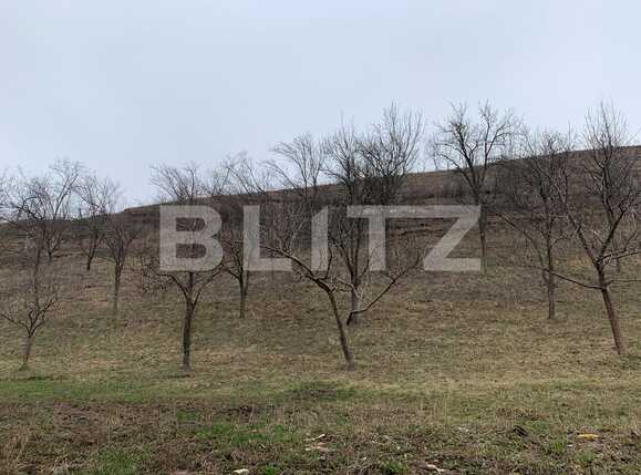 Casa de vânzare 4 camere Floreşti - 49298CV | BLITZ Cluj-Napoca | Poza16