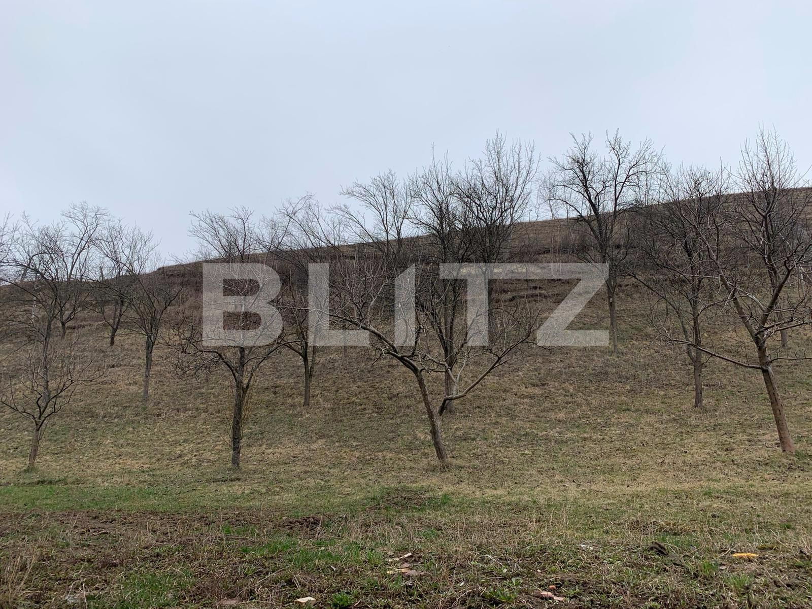 Casa de vânzare 4 camere Floreşti - 49298CV | BLITZ Cluj-Napoca | Poza16