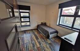 Apartament cu 2 camere, decomandat, 60 mp, zona Iulius Mall