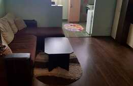 Apartament cu 1 camera, 32 mp, zona strazii Bulevardul Muncii