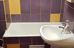 Apartament cu 1 camera, 32 mp, zona strazii Bulevardul Muncii