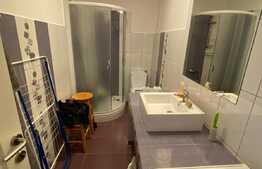 apartament 3 camere, 80 mp, finisat, gradina, zona Stejarului.