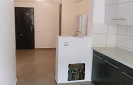 1 camera, decomandat, zona Stejarului