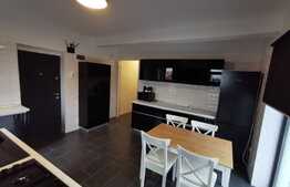 Apartament cu o camera, 50 mp, decomandat, mobilat modern, zona Iulius Mall