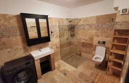 Apartament cu o camera, 50 mp, decomandat, mobilat modern, zona Iulius Mall