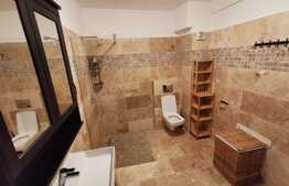 Apartament cu o camera, 50 mp, decomandat, mobilat modern, zona Iulius Mall