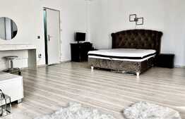 Apartament cu 1 camera, decomandat, 52 mp, zona Iulius Mall 