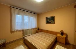 Apartament cu 2 camere, 54 mp, decomandat, loc de parcare, zona strazii Vidraru