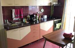 De vanzare apartament 2 camere, 45 mp, decomandat, etaj intermediar, zona strazii Primaverii