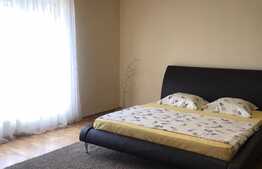 De vanzare casa individuala finisata , mobilata, 2900 mp teren, zona Suceagu!