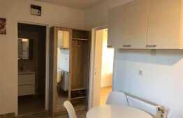 Apartament cu o camera, 50 mp, mobilat modern, zona Mega Image