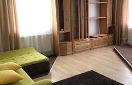 Apartament cu o camera, 50 mp, mobilat modern, zona Mega Image