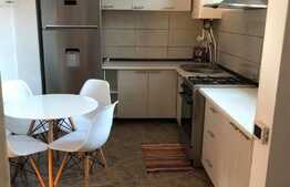 Apartament cu o camera, 50 mp, mobilat modern, zona Mega Image